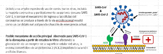 Efectos antivirales de la Cloroquina contra Coronavirus (COVID-19)(SARS-CoV-2)